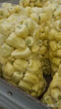 Pepper from Romania packed in bags 15-16 KG 
