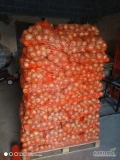 Witam sprzedam cebulę kaliber 4,5-8 ładnie zasuszona bez bąków pakowana w worki 10kg.