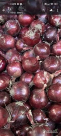 Sprzedam cebulę czerwoną 5-8, worek 10 kg szyty lub big bag. Ilości tirowe