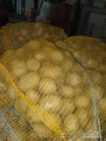 Ziemniaki Colomba +45, worek 15 kg, ilości tirowe