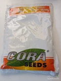 Nasiona cebuli ozimej odmiany FOKKER  F1, SKINER F1(j.250 000n) firmy CORA SEEDS. Dostawa gratis.Płatność przy odbiorze.