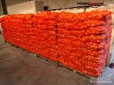 Sprzedam polską młodą cebule z piekną pełną łuską odmiana swift kaliber 5-9 ilości tirowe lokalizacja 96-516 40km od rynku...