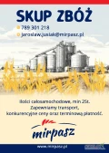 Firma MIRPASZ zakupi pszenicę oraz inne zboża. Min 25t, zapewniamy transport oraz konkurencyjne ceny.Zapraszamy, tel 789 301 218  