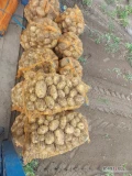 Ukopie na zamówienie ziemniaki jadalne Colombo, towar z jasnej ziemi, gruby. Więcej  informacji pod nr tel 697631392