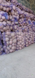 Sprzedam ziemniaki świeże Bellarosa 450 woreczków po 15 kg