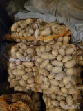 Szukam odbiorcy na ziemniaki Quen Anna, soraya, kaliber +40 worek 15kg. Możliwość paletowania.
