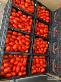 Fresh Apple kupi w nasze opakowanie pomidor gruntowy kaliber 40-70. Zapraszamy do współpracy! 