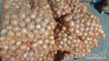Sprzedam 3 tony cebuli kal. 45-80 odmiana Rajsburger 5  worek 15kg. Posiadam również drobna cebulę na wysadke niefazerowana 1500kg