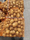 Sprzedam młode ziemniaki kopana na bieżąco w workach 15 kg ilości busuwe 