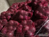 Sprzedam czerwoną cebulę podsuszoną bardzo grubą przerywaną. Worek 5kg www.dominiak-warzywa.pl