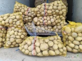 Sprzedam ziemniaki jadalne żółte Ignacy 210 worków po 70 na palecie z jasnej ziemi kal. 4.5 +