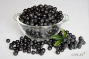 Piękna Polska aronia, z certyfikatem bio. Cena ~ 2,99zł/kg, możliwość kupna każdej ilości. Działamy w okolicach Warszawy.