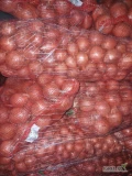 Sprzedam cebulę kal 5-9 w ładnej suchej pełnej łusce,  cebula zdrowa. Cebula dostępna w ilościach tirowych.  