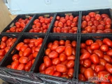 Fresh Apple kupi w nasze opakowanie pomidor gruntowy kaliber 40-70. Zapraszamy do współpracy! 