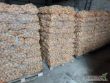 Ukopie na zamówienie ziemniaki jadalne Colombo, towar z jasnej ziemi, gruby. Więcej informacji pod nr tel 697631392 