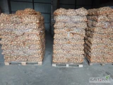 Ukopie na zamówienie ziemniaki jadalne Colombo, towar z jasnej ziemi, gruby. Więcej informacji pod nr tel 697631392