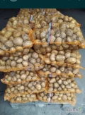 Sprzedam ziemniaki jadalne Vineta, 4+, worki 15kg, ilości busowe, 25zl worek, tel 721-263-847