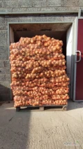 Sprzedam cebulę ozimą siewkę ładna zdrowa bez bąków kal.5-7 7+ lub według zapotrzebowania więcej inf.pod tel.500620081