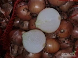 Sprzedam ładną suchą cebulę jakości marketowej z importu.  Cebula zdrowa, nie zagniwa. Kal 5-8, worki 30 kg. 