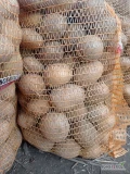 Sprzedam 140 worków po 15kg ziemniaków odmiany corinna kal 45+