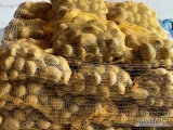 Sprzedam ziemniaki Soraya +45 worek szyty 15kg towar na paletach. 
