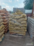 Na sprzedaż ziemniaki odmiana Soraya przygotowane okolo 7 ton i bellarosa okolo 3 ton 
