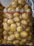 Sprzedam młode ziemniaki odmiana Impresja, pakowane w worki 15 kg, podana cena jest ceną hurtową, odbiór własny, więcej informacji...