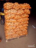 Sprzedam ziemniaki jadalne odmiana SORAYA 3000 kg. Przygotowane w woreczku po 15 kg na paletach . W razie pytań zapraszam do kontaktu >>>...