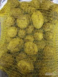 Sprzedam ilości tirowe ziemniaka odmiana Maya w bb lub w workach ładny zdrowy ziemniak