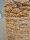 Sprzedam ziemniaki Soraya kal od 4+ ilości do uzgodnienia 