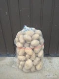 Sprzedam ziemniaki Arizona kal 45+ ilości paletowe towar gruby z jasnej ziemi kontakt 604155544.