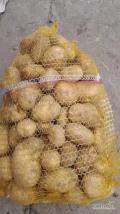 Naszykuje na sobotę 120 worków po 15kg ziemniaków jadalnych odmiana Ignacy kaliber 4.5+, ładnie ręcznie naszykowany ziemniak tel...