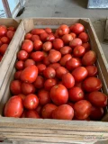 Sprzedam pomidor Lima na przemysł. Ilości do 8-10t dziennie. 