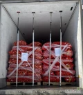 Sprzedam cebulę, import KazachstanWorek 30kg, 100 ton