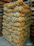 Sprzedam ziemniaki 50+ z badaniami FITO na UE, Anglie itp.