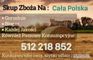 Kupię Zboże każdej jakości pszenica  rzepak pszenżyto żyto jęczmień. Odbiór z gospodarstwa. Szybka płatność i odbiór...