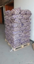 Witam sprzedam ziemniaki odmian żółtych i czerwonych w ilościach paletowych  oraz tirowych . Sposób zapakowania do ustalenia ( worek...