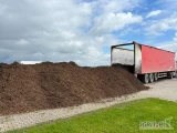 Sprzedam podłoże do Borówki. Głównie z sosny, skład to igliwie korą Zrebka oraz Trocina. Transport ruchoma podłoga. Więcej...