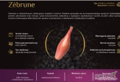 Nasiona cebuli ZEBRUNE w typie szalotka(j.250 000n) firmy UniGold oferuje GEPWEG dystrybutor nasion .Dostawa gratis. Płatność przy...