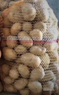Sprzedam ziemniaki młode, ładne odmiana LORD. Odbiór najlepiej z pola luz lub w workach 15 kg. Okolice Pleszewa, Kalisza