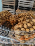 Sprzedam ziemniaki kopane jutro rano około 500 worków ,ładne grube