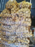 Sprzedam ziemniaki odmiana mia gruby ładny żółty ziemniak
