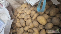 Witam zakupie ziemniaki jadalne bigbag lub luz od 45+/50+/60+ ilości minimum ciężarówka 22 t zainteresowanych zapraszam