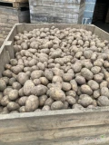 Sprzedam ziemniaki odmiany Soraya, kaliber 5+, 300 ton, cena 1,4 zł/ kg luz big-bag, zainteresowanych zapraszam do kontaktu pod numerem:...