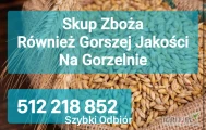 Kupię Zboże każdej jakości pszenica  rzepak pszenżyto żyto jęczmień. Odbiór z gospodarstwa. Szybka płatność i odbiór...