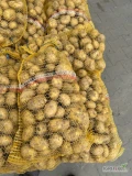Ziemniaki jadalne denar workowane po 15 kg kopane na zamówienie. Ilości busowe. Możliwy transport 