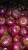 Fresh Yellow Onion and Red Onion Packing 10 Kg