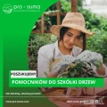 Firma w Dolnej Saksonii (Niemcy),  prowadząca szkółke drzew poszukuje pomocników.
