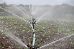Ponowne wykorzystanie wody w rolnictwie