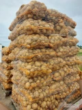 Ukopie na zamówienie ziemniaki jadalne Colombo, towar gruby z jasnej ziemi. Więcej informacji pod nr tel 697631392